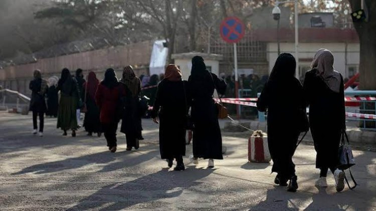 استعفای اساتید افغان به دلیل ممنوعیت آموزش دختران در دانشگاه‌ها