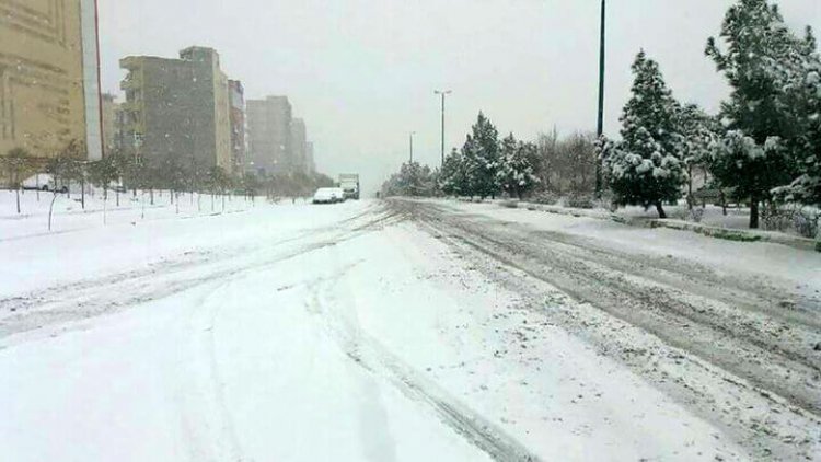 بارش برف ۶ شهرستان فارس را سفید پوش کرد