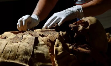 دلیل واقعی مومیایی کردن اجساد در مصر باستان کشف شد