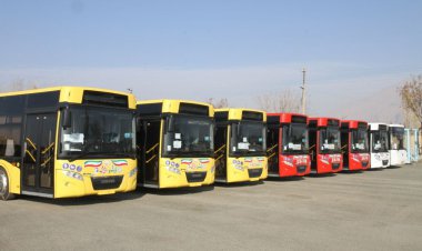 نوسازی حمل و نقل عمومی در بوشهر کلید خورد