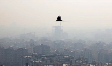 بهترین شغل دنیا در ایران!   
