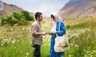 فیلم‌های اجتماعی به رکود گیشه پایان می‌دهند؟