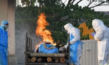 ببینید | صحنه ای وحشتناک از جسدسوزی چینی ها