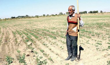 بالاخره ایرانی‌ها در ونزوئلا چه کاشتند؟