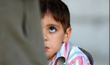 یک خانه پر از دلهره