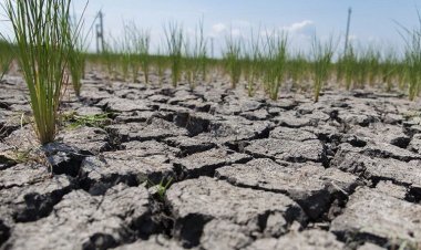 خبر خوب برای شهروندان ۲۰ شهر دچار تنش آبی در استان فارس