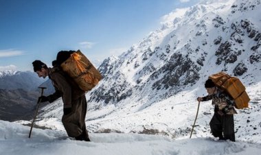 لایحه مهم دولت برای حل مشکل معیشت کوله‌بران‌ و ملوانان
