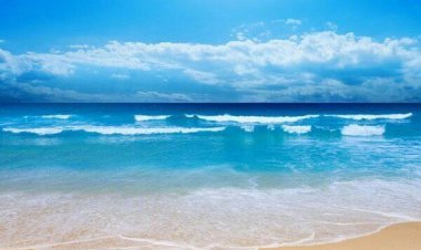 وزش تندباد لحظه‌ای در استان بوشهر