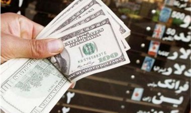 آیا گرانی دلار کار دولت است؟ + پاسخ وزیر اقتصاد