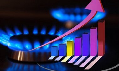 شناسایی ۶۶۵۰ مشترک بدمصرف در فارس