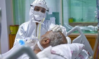 بستری شدن ١٨٣ استان فارسی به علت کرونا در بیمارستان