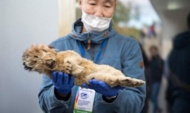 جسدی که پس از هزاران سال سالم مانده است