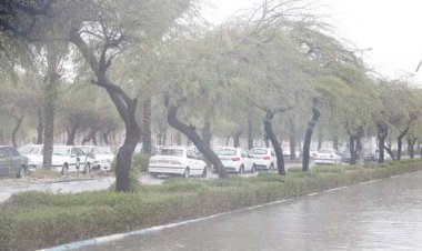 بوشهر صدرنشین رشد بارش باران در کشور