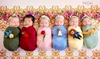 چهارقلوها زمین یا مسکن رایگان می‌گیرند