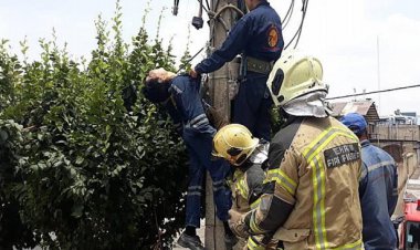 برق گرفتگی یکی از کارکنان اداره برق کهگیلویه و بویراحمد 