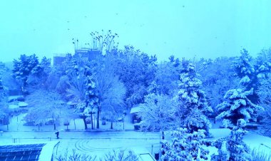 رکورد سرمای سال ۸۶ شکسته شد