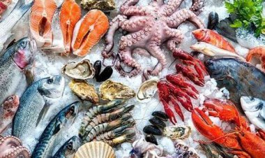 صادرات ۴۶ هزار تن انواع آبزیان از هرمزگان به خارج از کشور