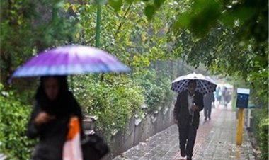تشدید بارندگی و موج سرما در بوشهر