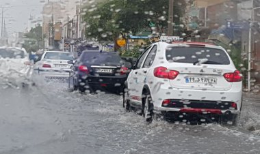 بوشهر رکورددار بیشترین بارش‌های کشور