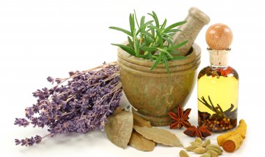 ظرفیت گیاهان دارویی در فارس مغفول مانده است