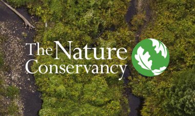 عکس برنده سازمان جهانی محیط زیست در رقابت عکاسی «The Nature Conservancy»