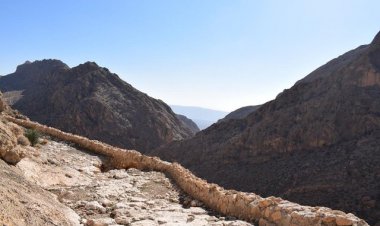 کشف ۵۴۸ محوطه و اثر تاریخی در پایان ۱۰ سال باستان‌شناسی جهرم