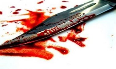 جنایت هولناک با الهام از سریال«خ.س»!