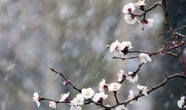 ماندگاری ۵ روزه هوای سرد در کشور