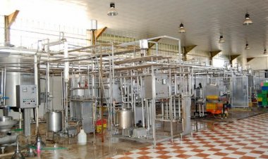 ۶۰ درصد کارخانجات لبنی فارس راکد شده‌اند