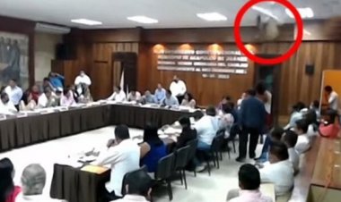 لحظه سقوط ۲ حیوان به سالن کنفرانس شورای شهر!