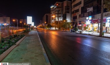 موش‌ها و آدم‌ها