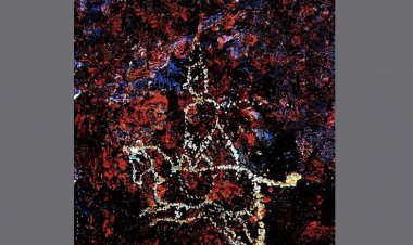 کشف سنگ‌نگاره یکی از سوارکاران دوره ساسانی در مرودشت