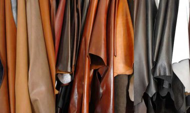 گمرک افشا کرد/ صادرات پوست و چرم به اسم ضایعات