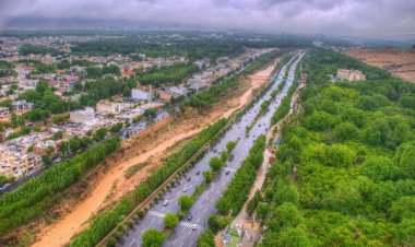 ۹۸۶ هکتار از باغات گروه یک شیراز باقی مانده است