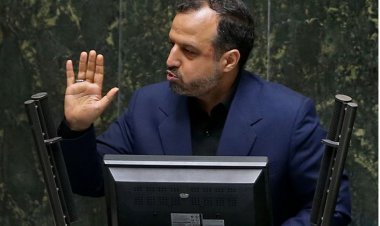 وزیر اقتصاد: دولت هیچ نفعی از گرانی دلار نمی‌برد!