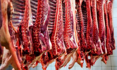 ماجرای واردات گوشت حرام به کشور