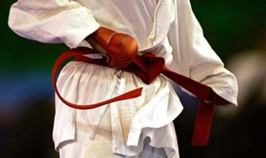 عدم بازگشت کاراته‌کای ایرانی از پاریس