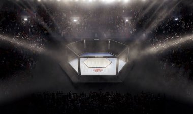 برگزاری مسابقات MMA برای نخستین‌بار در ایران