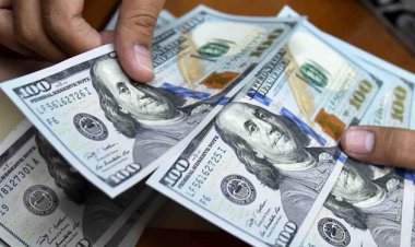 فروش ارز در پنج بانک دولتی از شنبه