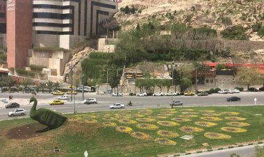 طاووس شیراز در راه آشیانه