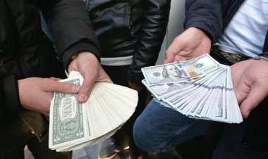 جزییات برنامه پرسروصدا برای کنترل بازار ارز