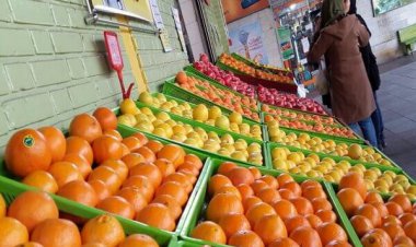 آمادگی شهرداری شیراز برای ارائه میوه تنظیم بازار نوروز