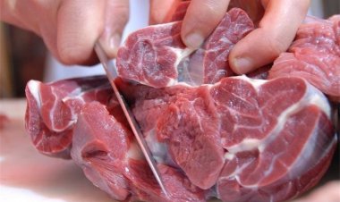 توزیع گوشت گرم وارداتی آغاز شد
