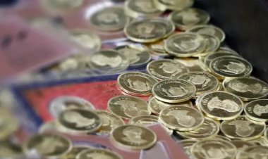 ماجرای ربع سکه‌های ۱۶ میلیونی چیست؟