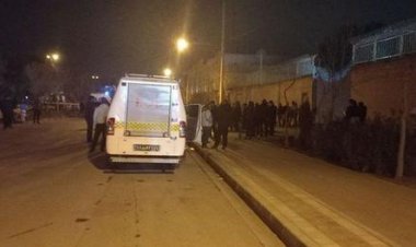  ریزپرنده‌ها از داخل خاک ایران بلند شده بودند