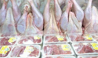 قیمت مرغ تا پایان سال تغییر نمی‌کند