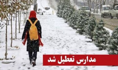 مدارس چند شهر تهران فردا «غیر حضوری» شد