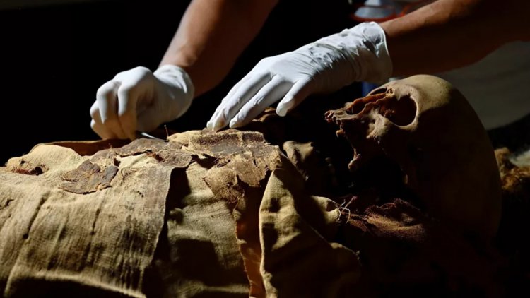 دلیل واقعی مومیایی کردن اجساد در مصر باستان کشف شد