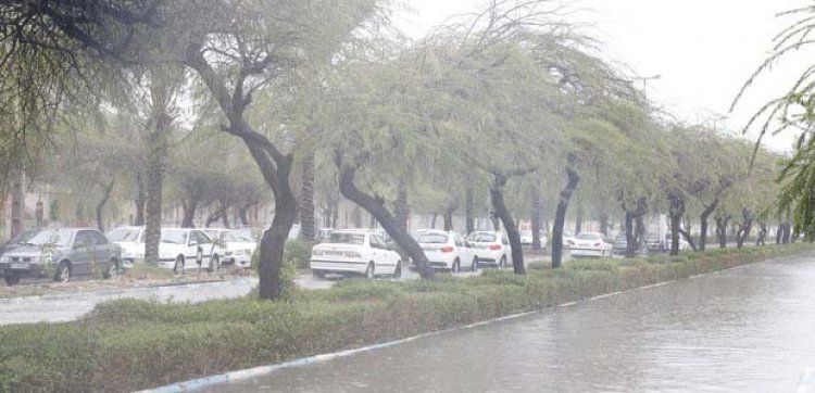 بوشهر صدرنشین رشد بارش باران در کشور