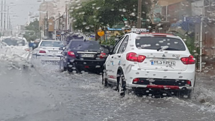 بوشهر رکورددار بیشترین بارش‌های کشور
